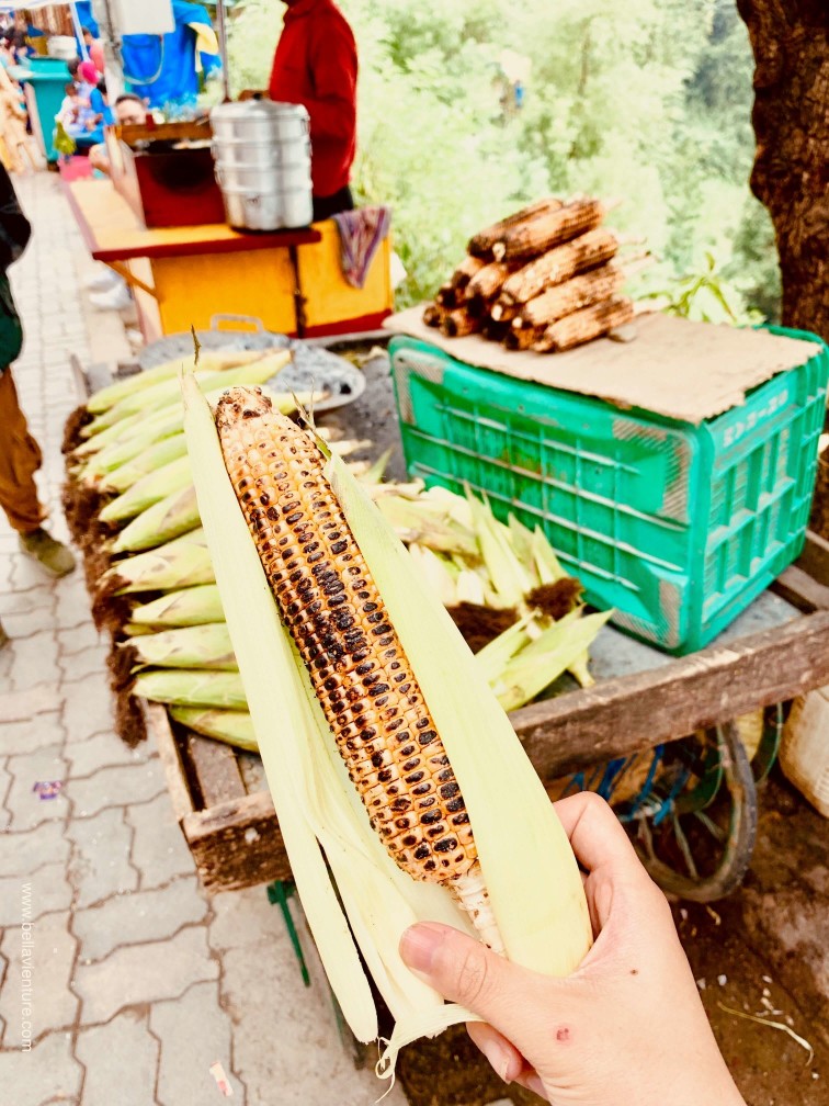 印度india  達蘭薩拉 dharamshala 路邊攤  玉米