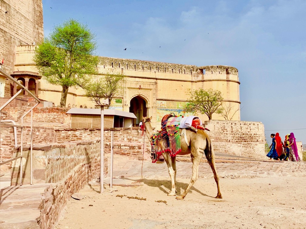 焦特普爾 Jodhpur 藍色城市 Blue city 梅蘭加爾城堡 Mehrangarh Fort