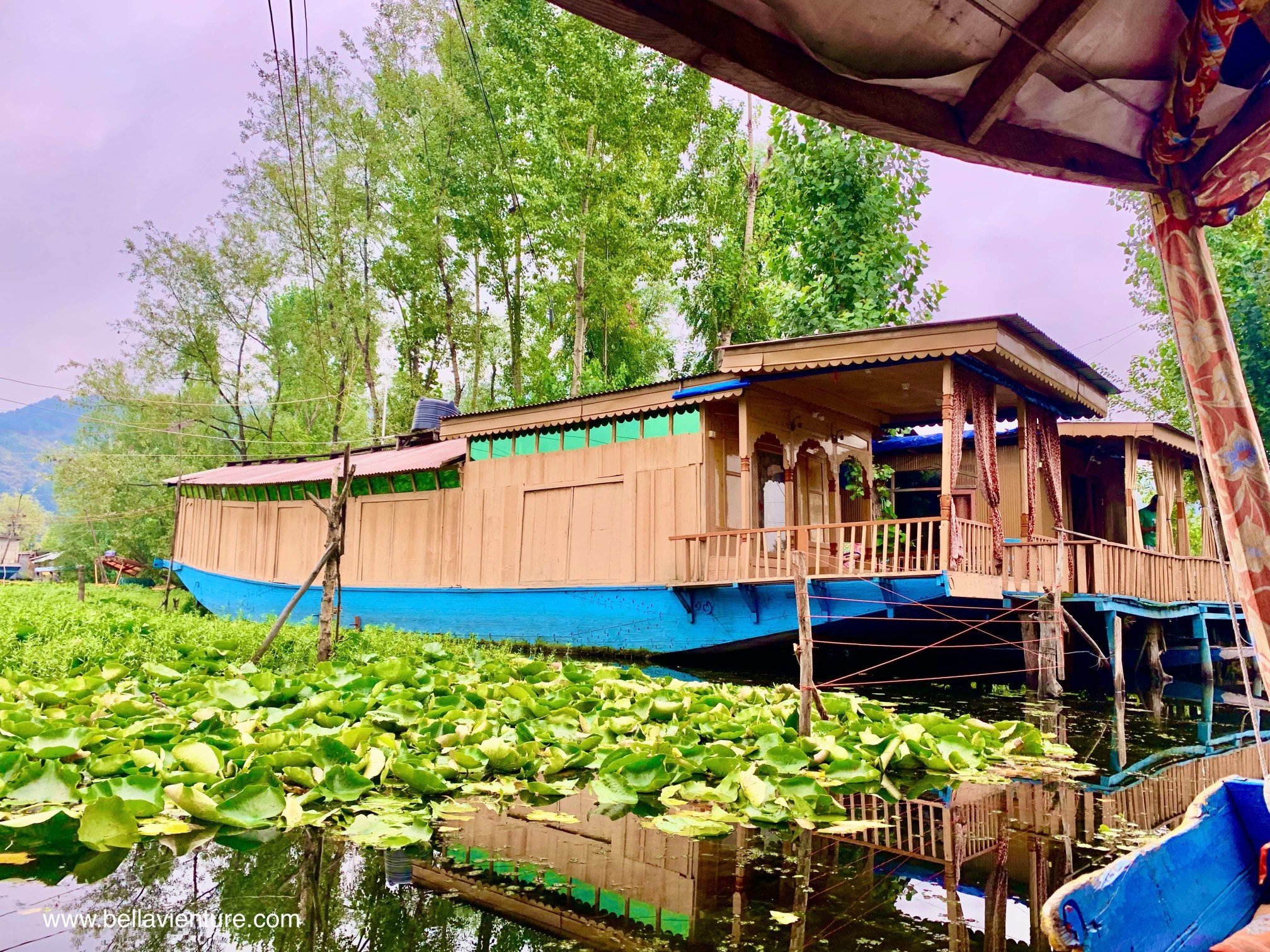 北北印 印度 India 喀什米爾 Kashmir Dal lake 湖上生活 船屋 boat house