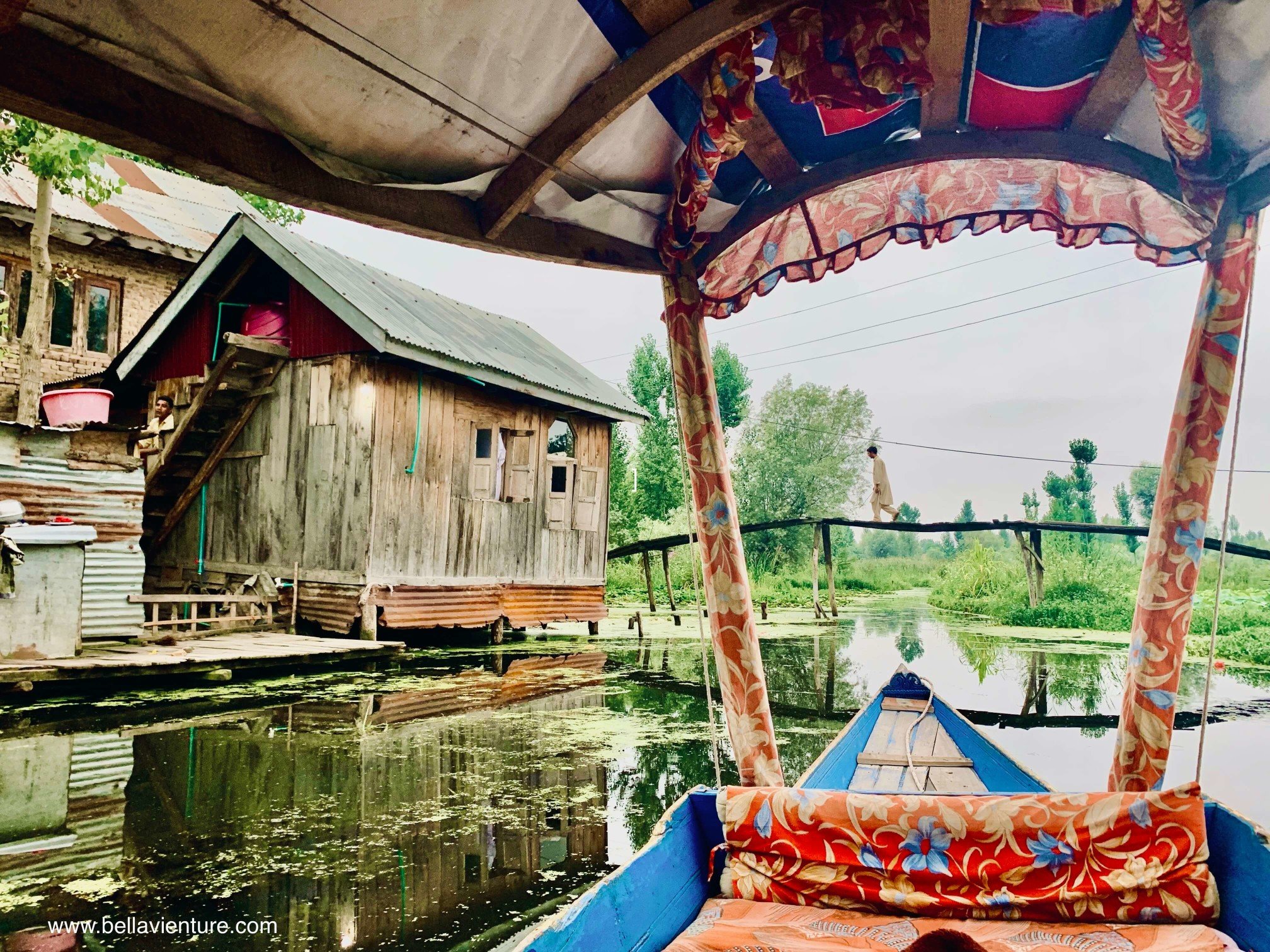 北北印 印度 India 喀什米爾 Kashmir Dal lake 湖上生活 船屋 boat house
