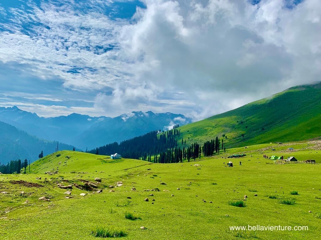 印度 India 喀什米爾 Kashmir 大湖健行 Great lake trekking 寬廣的山坡草原