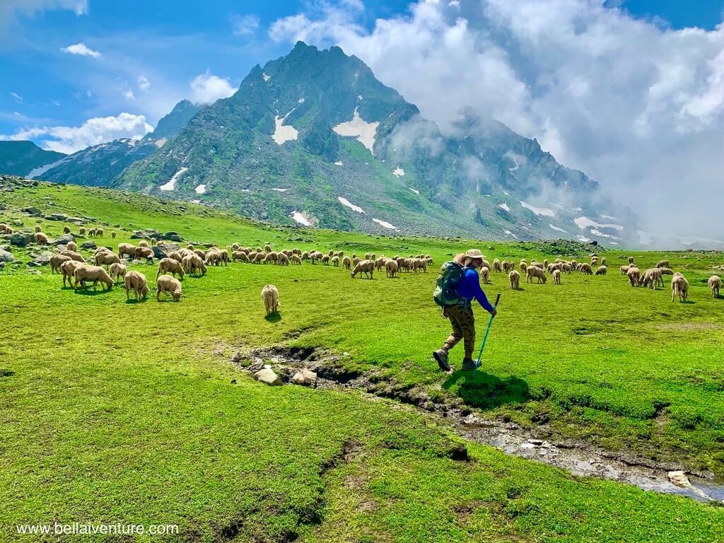 印度 India 北北印  North India 喀什米爾 Kashmir 大湖健行 trekking Kashmir Great Lakes Trek 牧羊與健行客