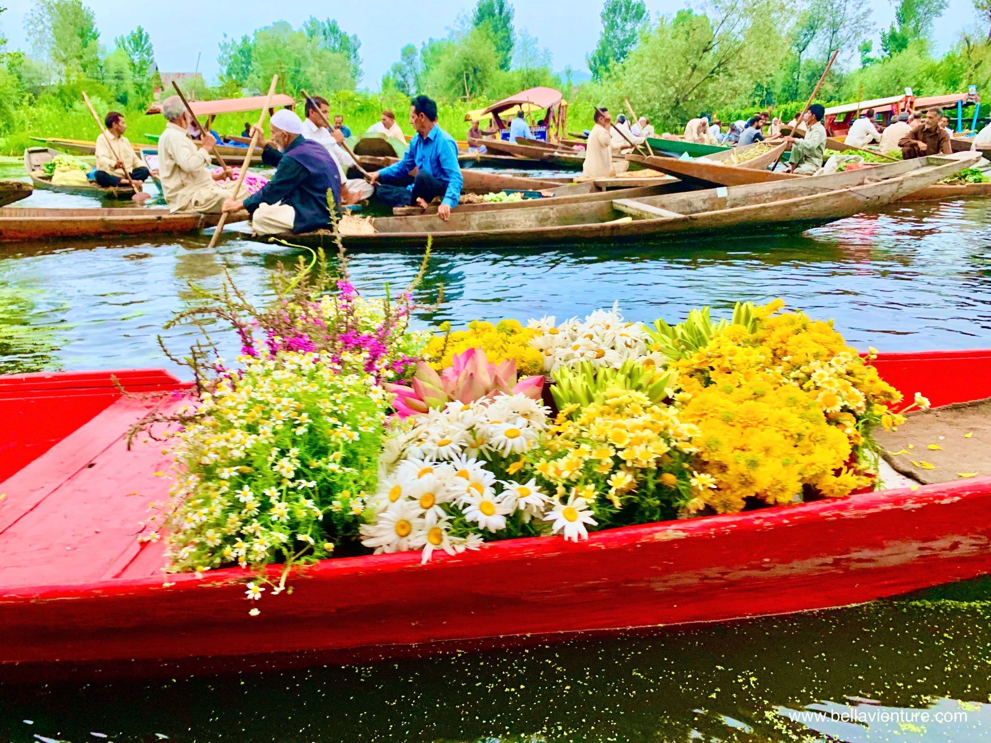 北北印 印度 India 喀什米爾 Kashmir 水上市集 Floating market 鮮花