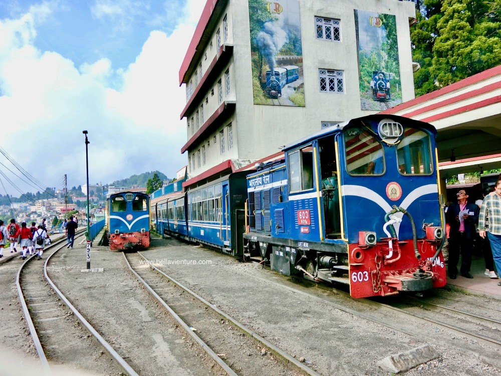 印度 大吉嶺 大吉嶺喜馬拉雅鐵路Darjeeling Mountain Railway的玩具火車Toy train