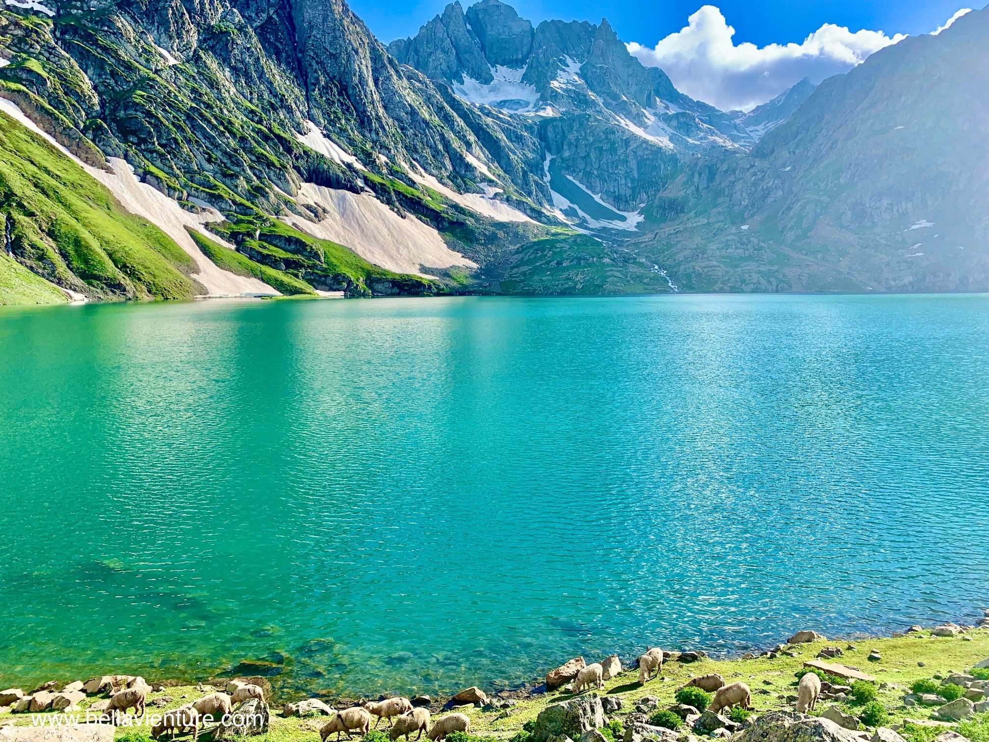 印度 India 北北印 North India 喀什米爾  Kashmir 八天七夜 健行 Nichnai Valley 超藍聖湖