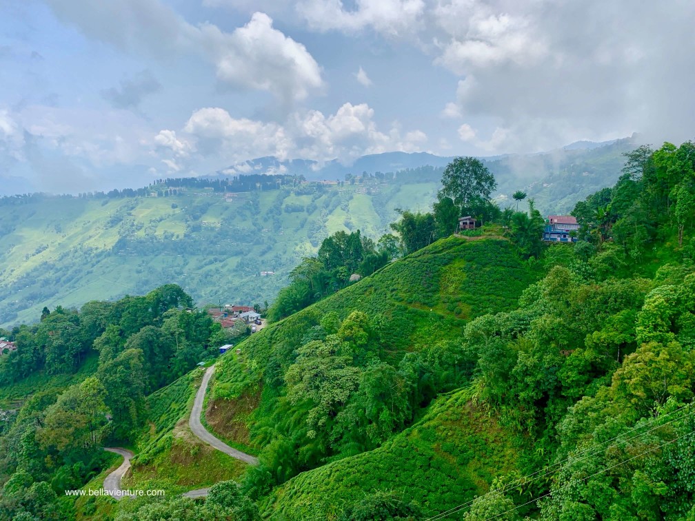 印度 大吉嶺 Darjeeling Rangeet Valley Passenger Ropeway