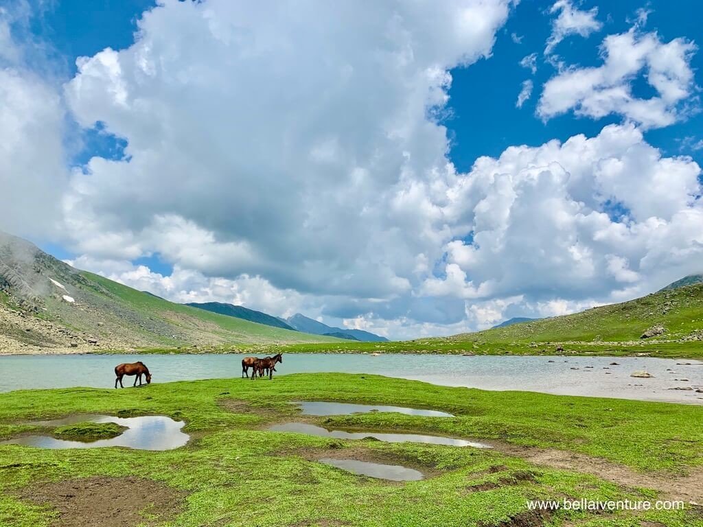 印度 India 北北印  North India 喀什米爾 Kashmir 大湖健行 trekking Kashmir Great Lakes Trek 湖泊與馬匹