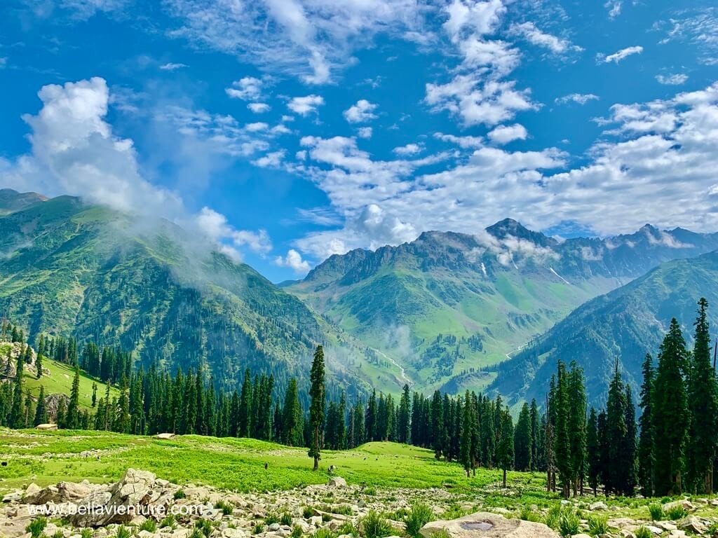 印度 India 喀什米爾 Kashmir 大湖健行 Great lake trekking 靠近平地的樹比較多