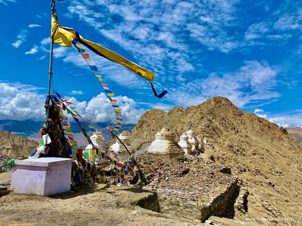 印度 India  北印度North india  喜馬拉雅 Himalayas 拉達克 Ladakh 列城 Leh 努布拉山谷 Nubra Valley