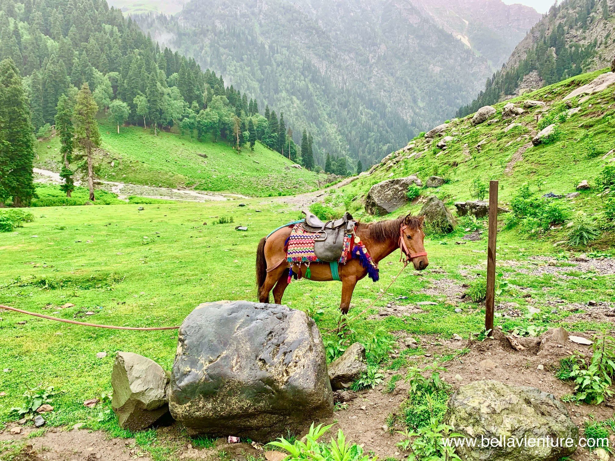 印度 India  北北印 North India 喀什米爾 Kashmir 七大湖健行 Kashmir Great Lakes Trek/ Budget trek Sonamarg 馬