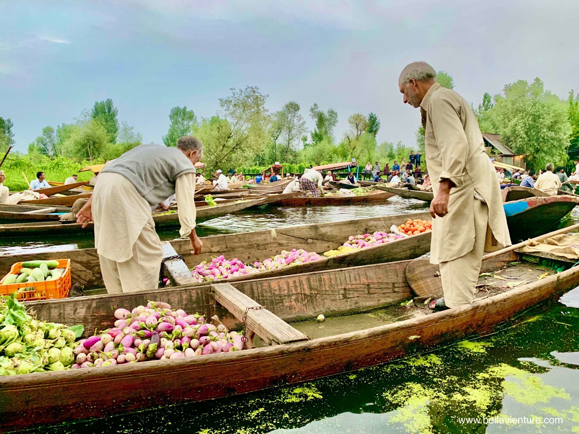 北北印 印度 India 喀什米爾 Kashmir 水上市集 Floating market 蔬果 互買