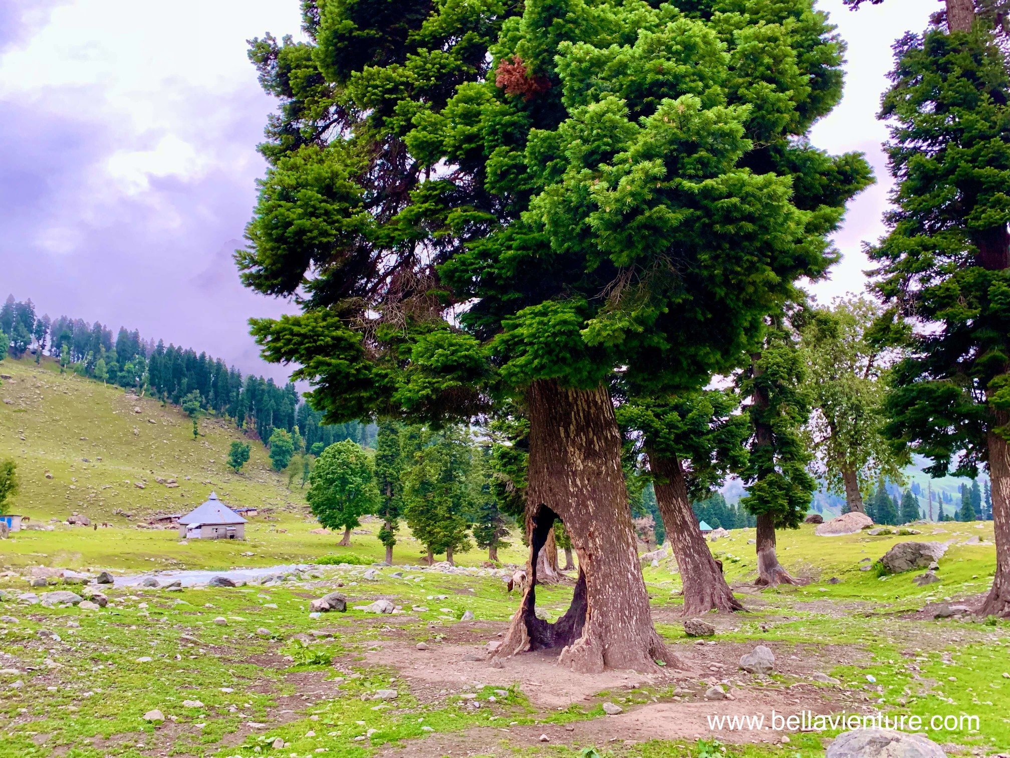 印度 India  北北印 North India 喀什米爾 Kashmir 七大湖健行 Kashmir Great Lakes Trek/ Budget trek Sonamarg great nature