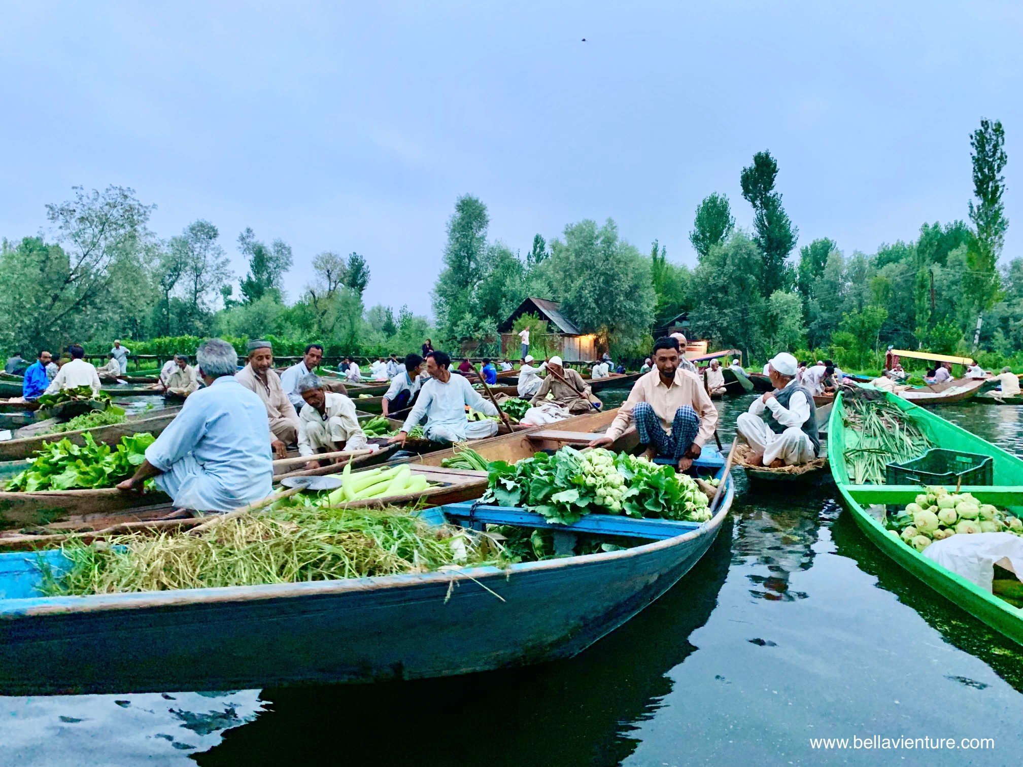 北北印 印度 India 喀什米爾 Kashmir 水上市集 Floating market 清晨