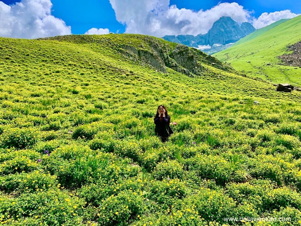 印度India 北北印 North India 喀什米爾 Kashmir 大湖健行 trekking 黃花群