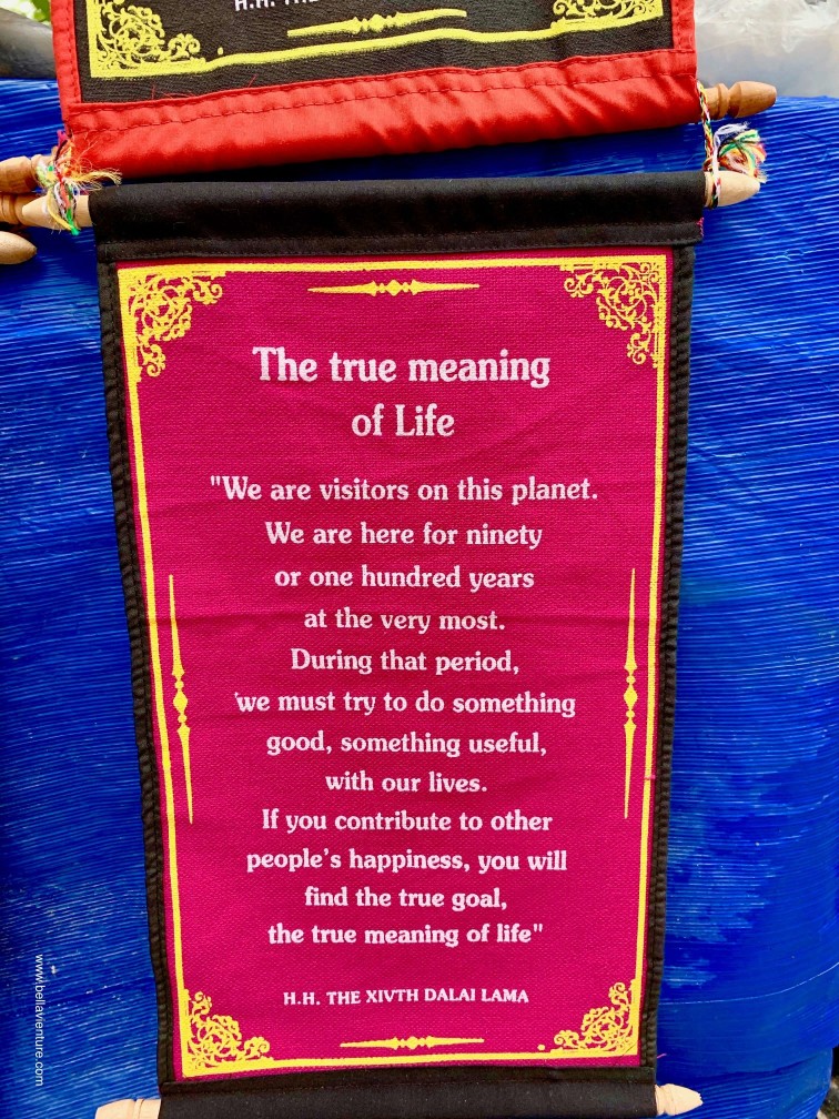 印度india  達蘭薩拉 dharamshala true meaning of life