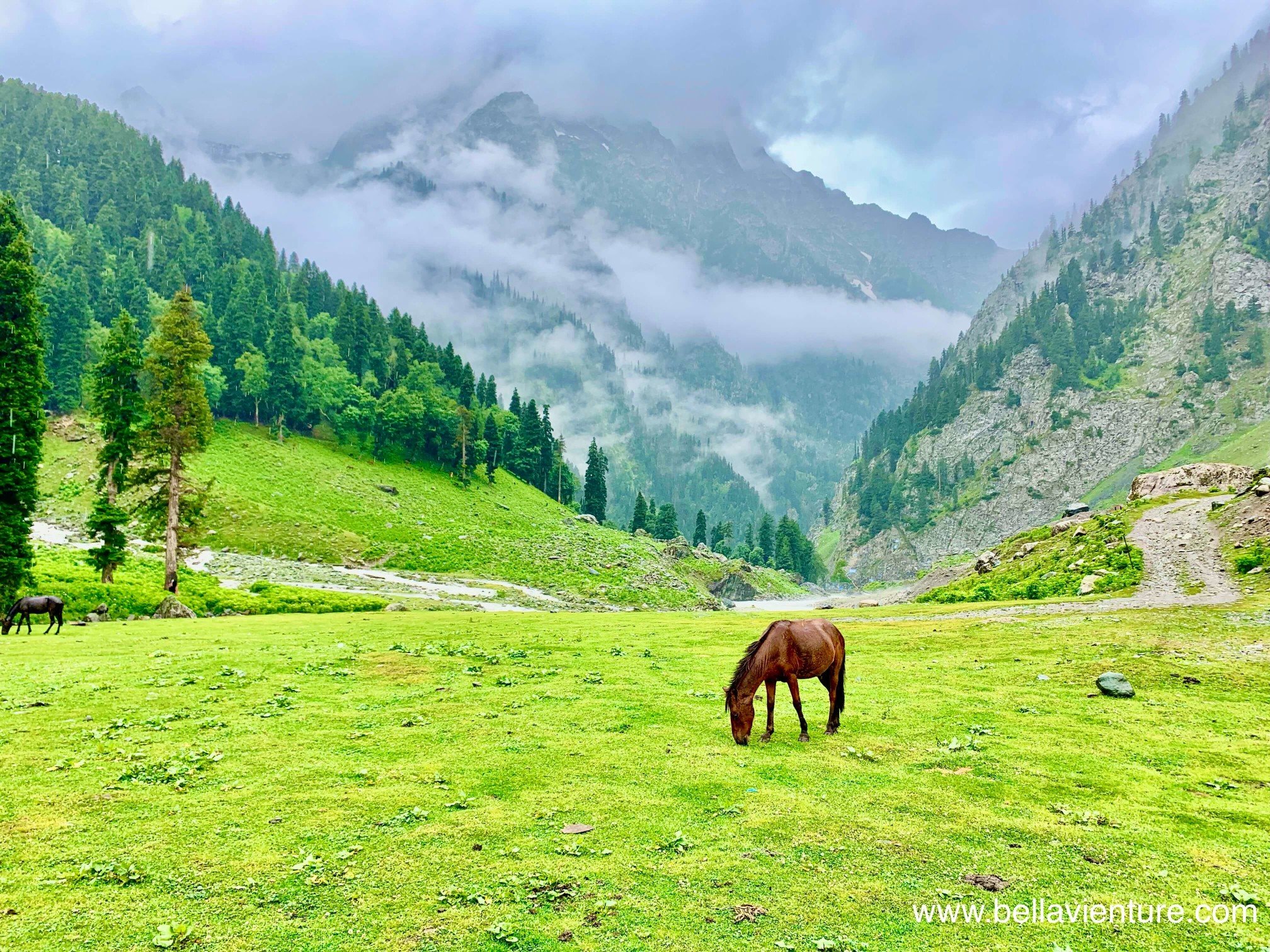 印度 India  北北印 North India 喀什米爾 Kashmir 七大湖健行 Kashmir Great Lakes Trek/ Budget trek Sonamarg 馬