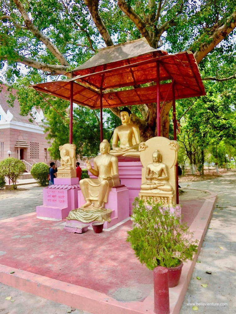 印度 india 瓦拉納西  varanasi 鹿野苑 sarnath 泰國寺院 thai temple