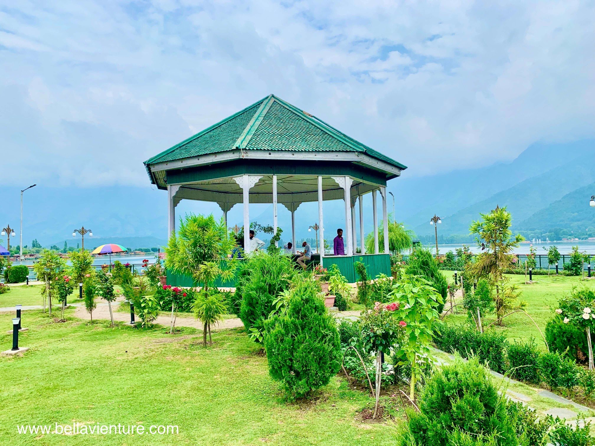 印度 India 北北印 north India 喀什米爾 Kashmir 花園 garden 斯里納加 Srinagar Dal lake