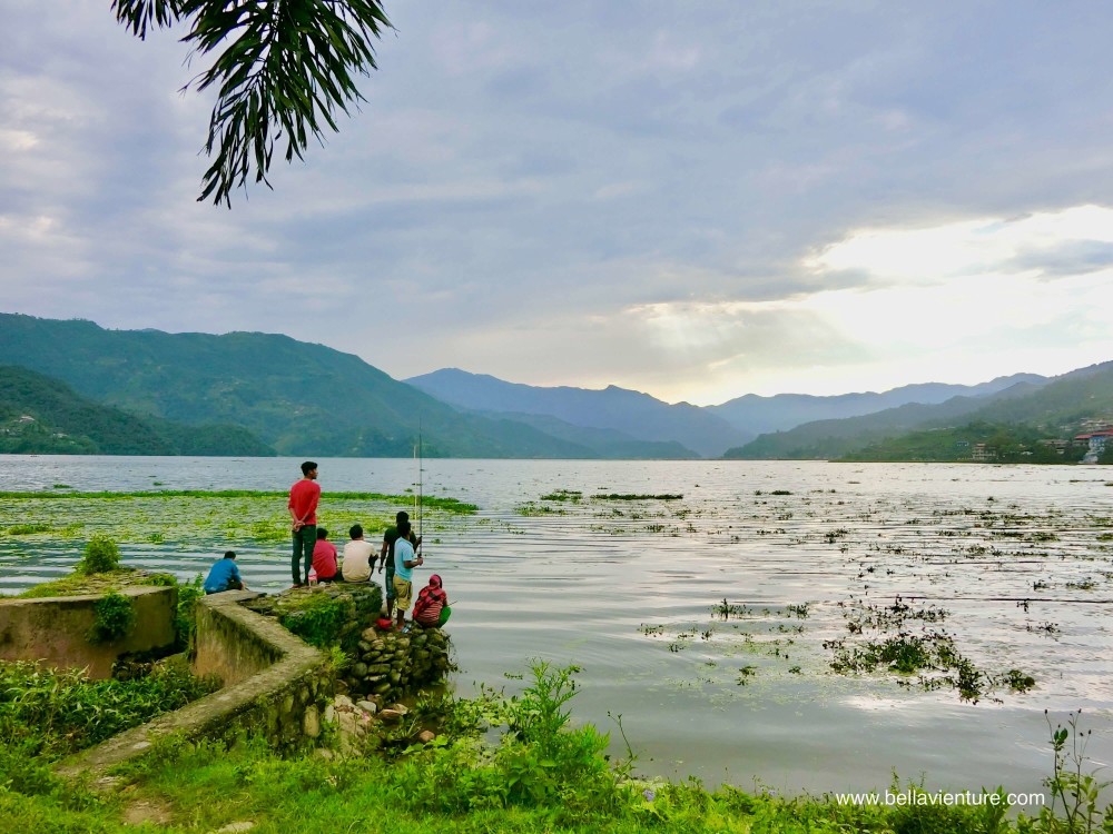 尼泊爾 波卡拉 Nepal Pokhara  Phewa lake 湖景