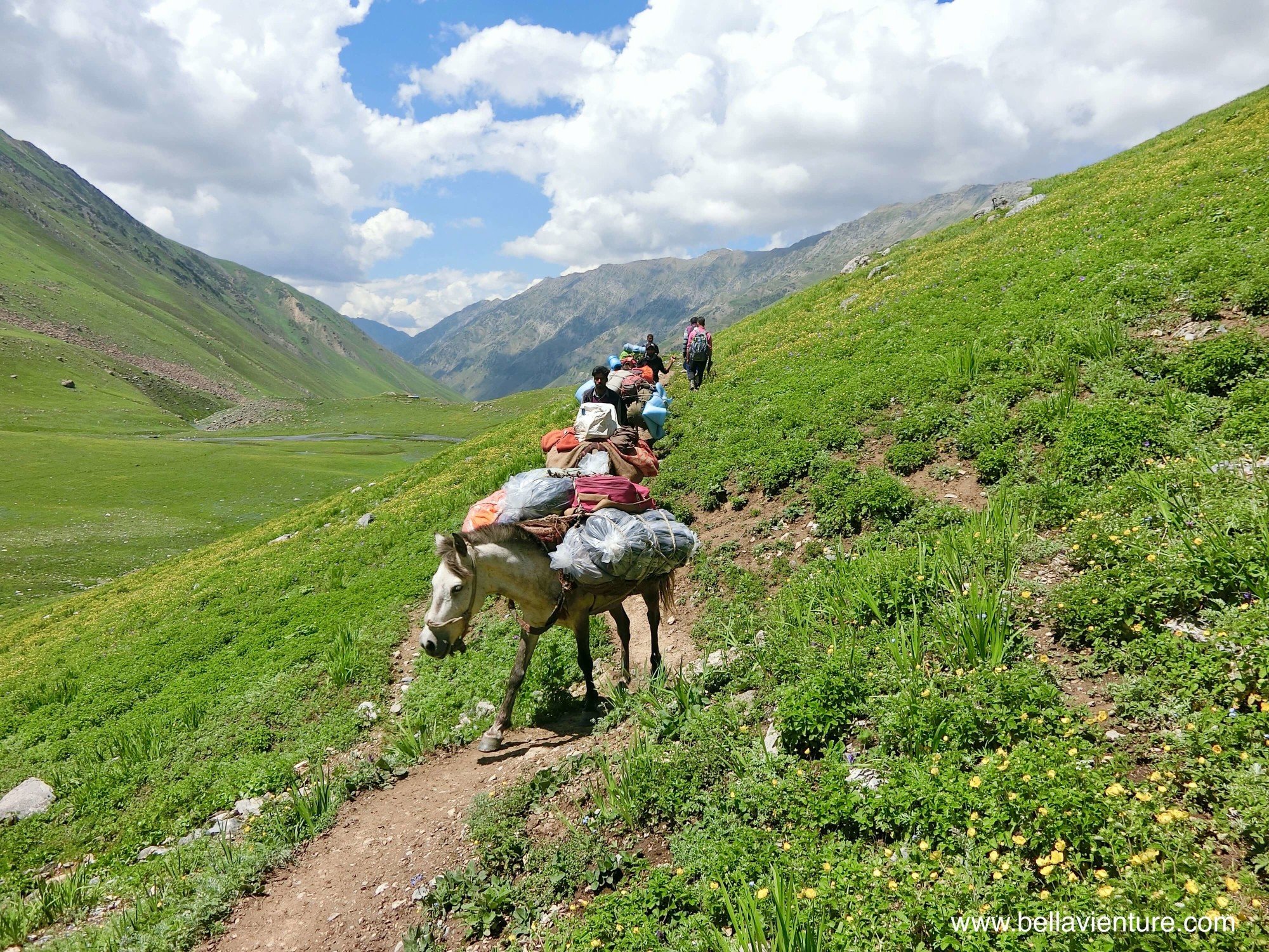 印度India 北北印 North India 喀什米爾 Kashmir 大湖健行 trekking 馬匹