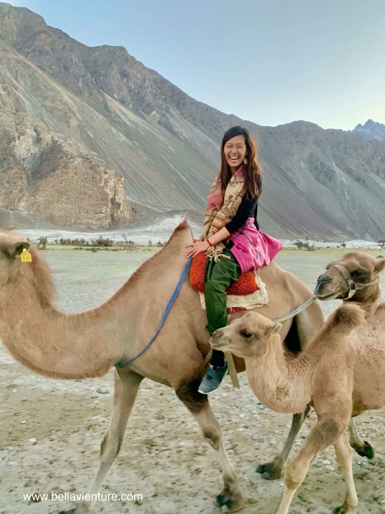 印度 India  北印度North india  喜馬拉雅 Himalayas 拉達克 Ladakh 列城 Leh 努布拉山谷 Nubra Valley Hundar沙丘 駱駝 camel