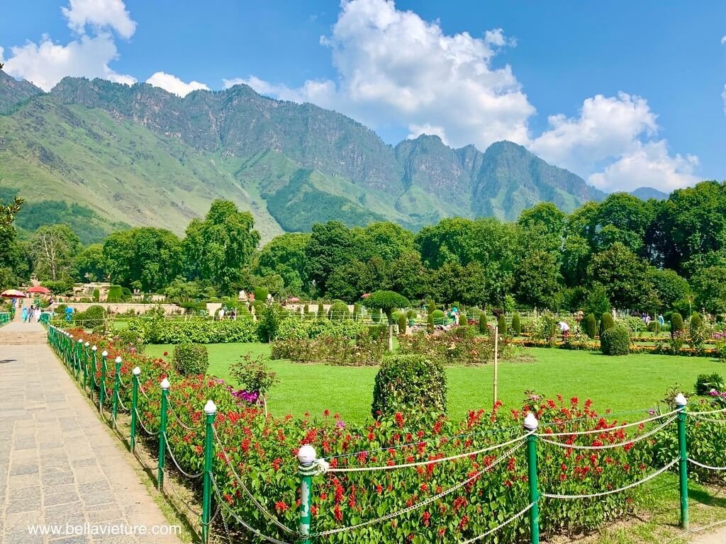 印度 india 喀什米爾 kashmir 斯里納加 srinagar heritage Mughal Garden Nishat
