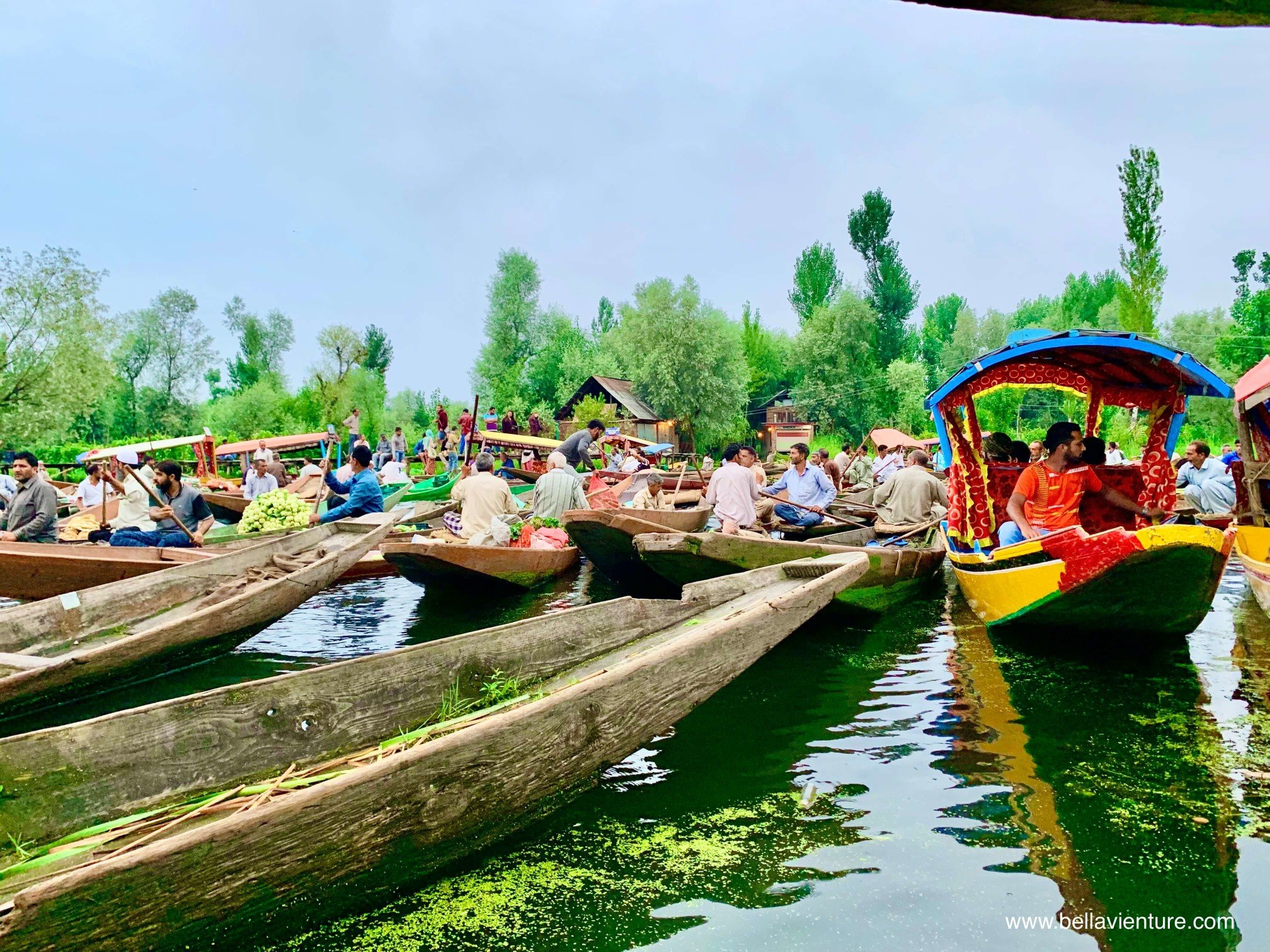 北北印 印度 India 喀什米爾 Kashmir 水上市集 Floating market 早晨